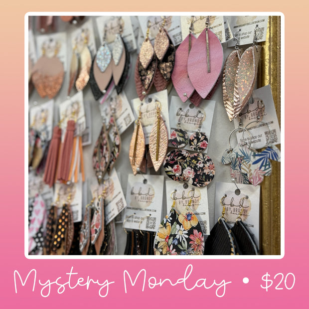$20 MYSTERY MONDAY - 2-3 Mystery Items from our shop! (+ FREE SHIPPING!)